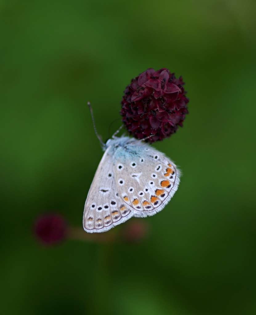 IMGP7589-1024~0.jpg