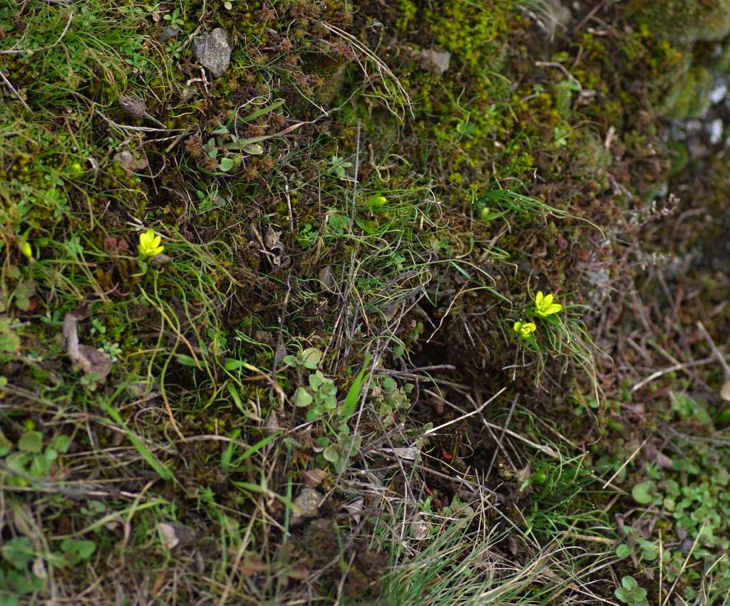 IMGP7631-1024~1.jpg