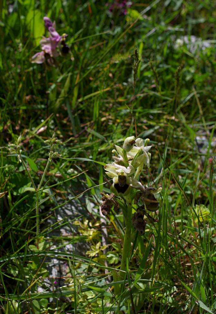 IMGP7669-1024~3.jpg