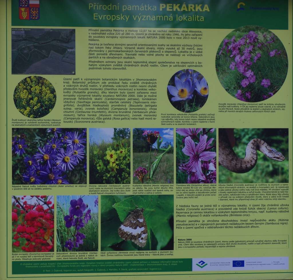 IMGP7691-1024~0.jpg