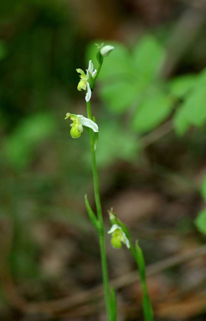IMGP7710-1024~2.jpg