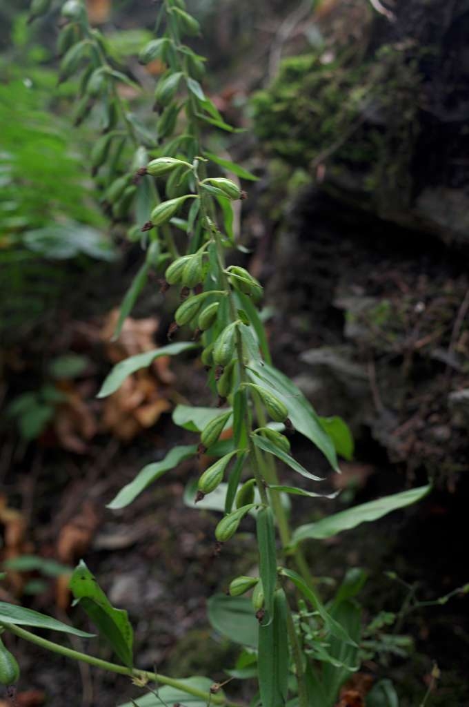 IMGP7775-1024~2.jpg