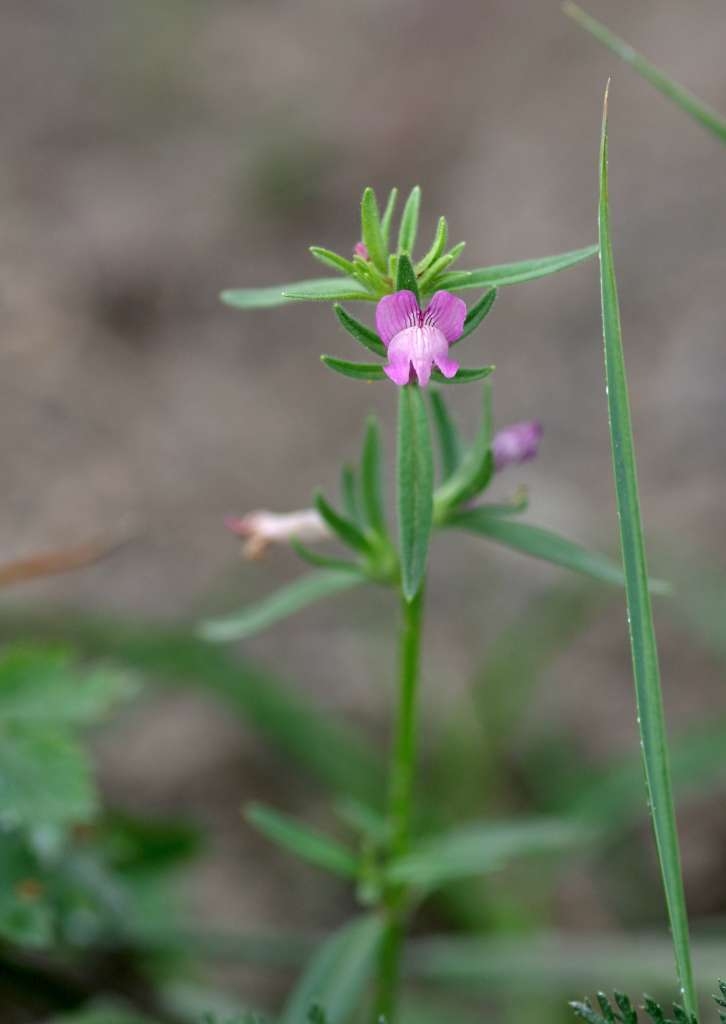 IMGP7852-1024~2.jpg