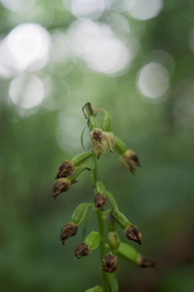 IMGP8001-1024~4.jpg