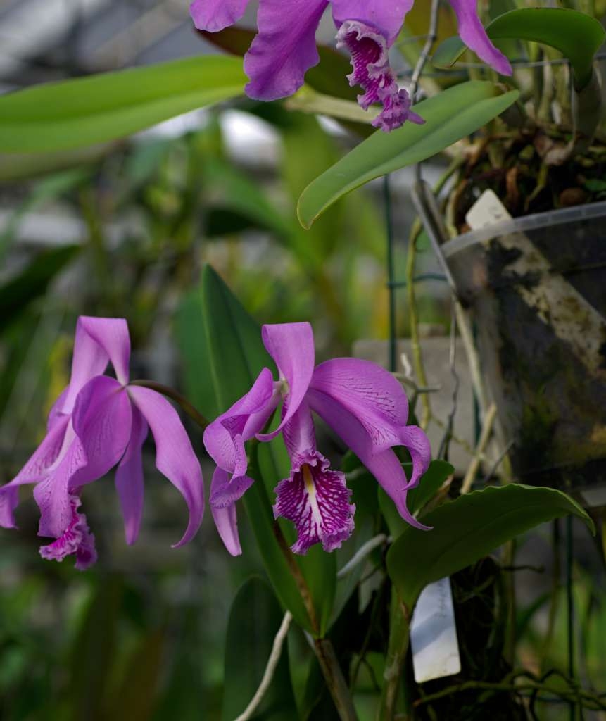 IMGP8027-1024~0.jpg