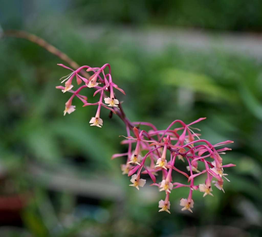 IMGP8142-1024~4.jpg
