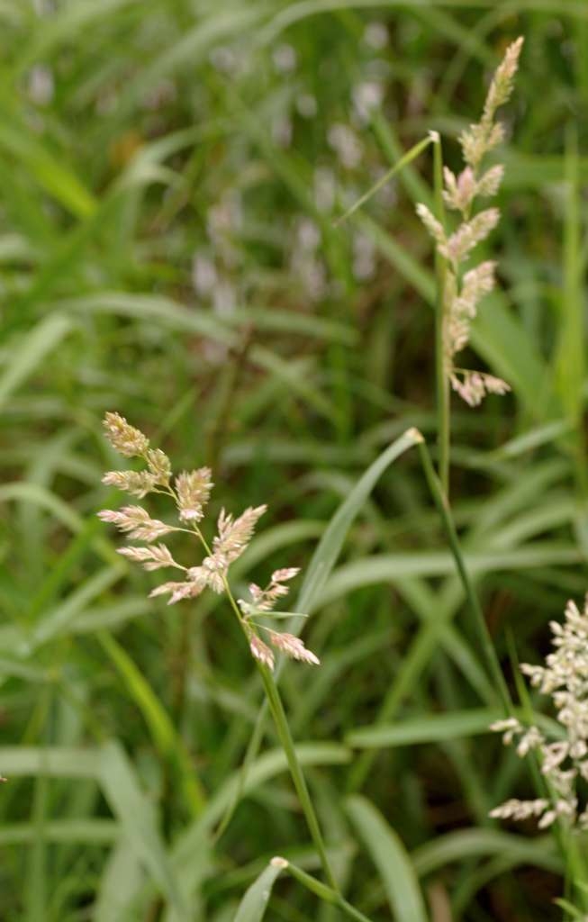 IMGP8265-1024~0.jpg