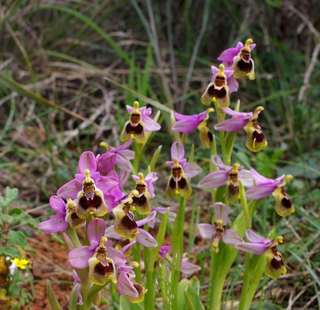 IMGP8319-1024~3.jpg