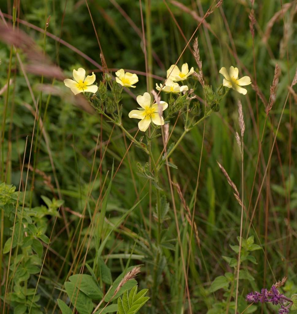IMGP8404-1024~1.jpg