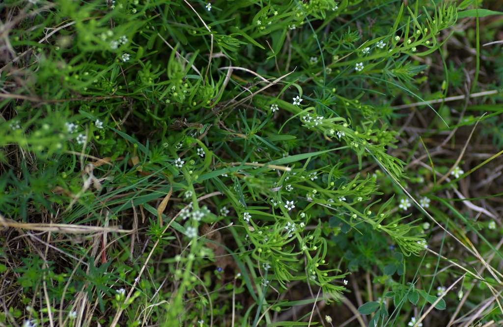 IMGP8588-1024~0.jpg
