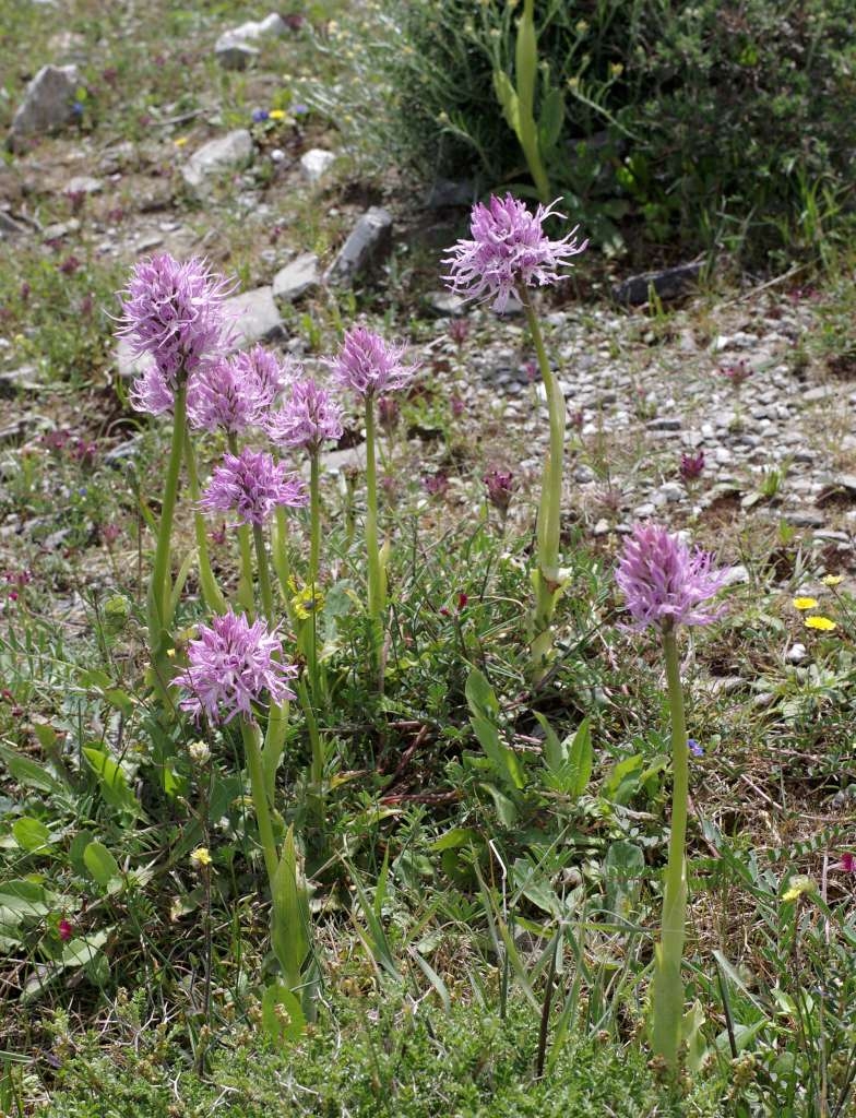 IMGP8673-1024~0.jpg