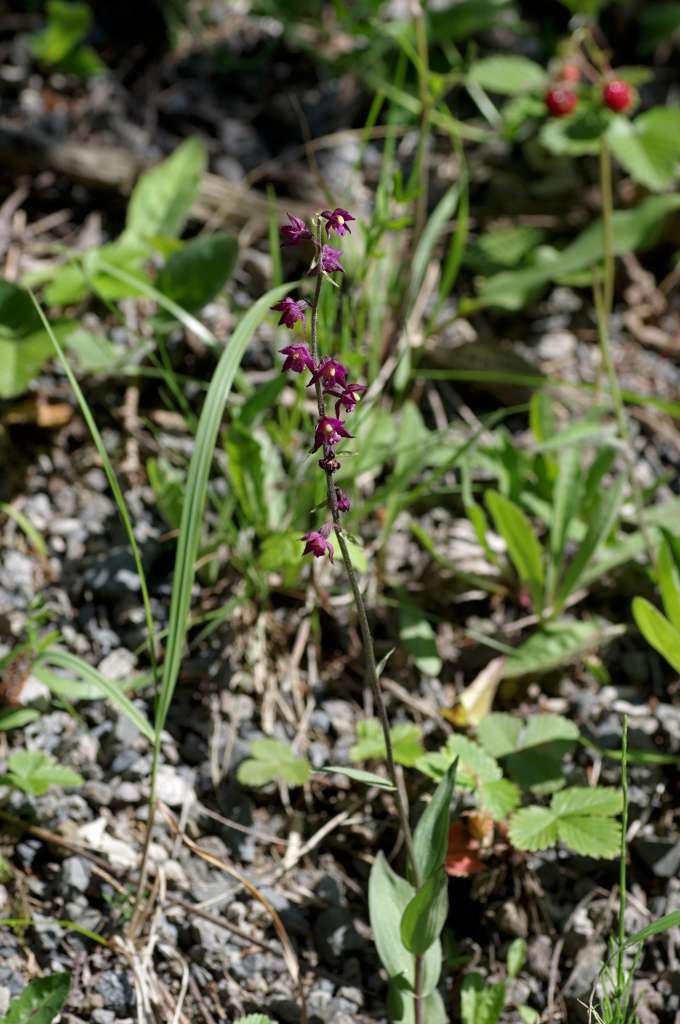 IMGP8714-1024~0.jpg