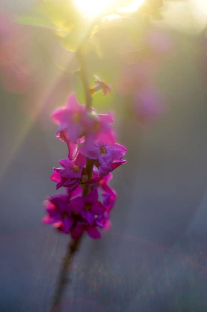 IMGP8714-1024~3.jpg