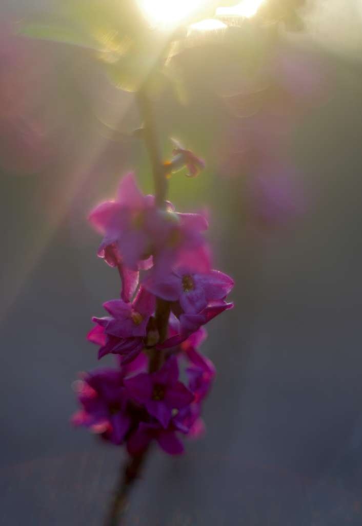 IMGP8715-1024~3.jpg