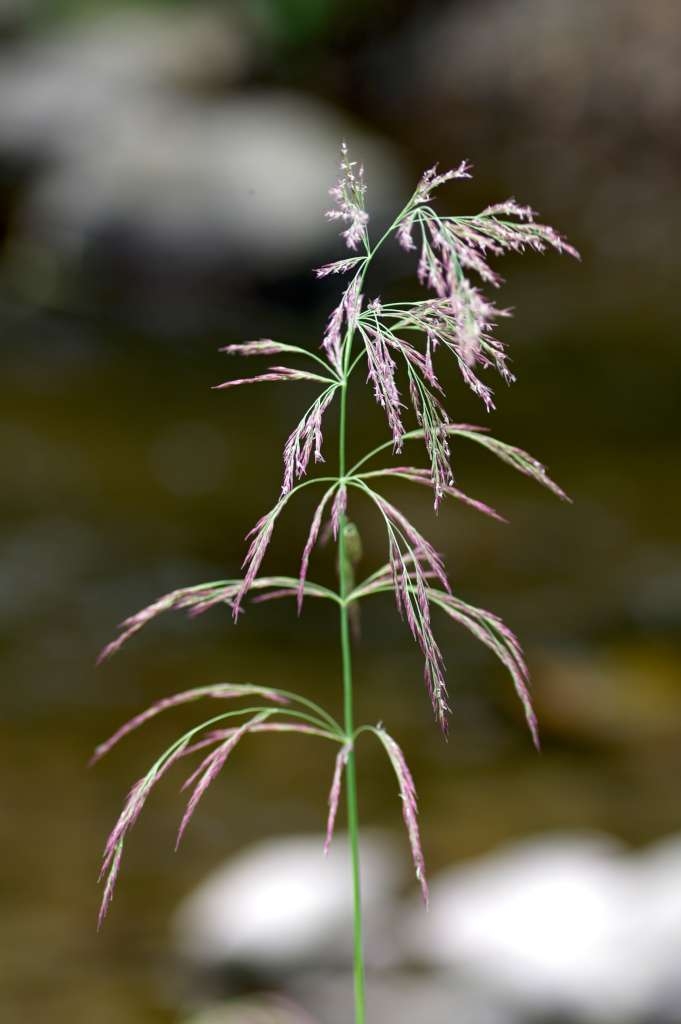 IMGP8826-1024~1.jpg