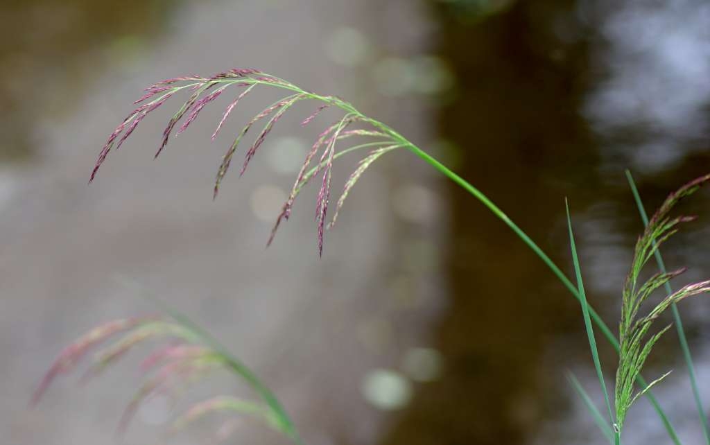 IMGP8832-1024~1.jpg