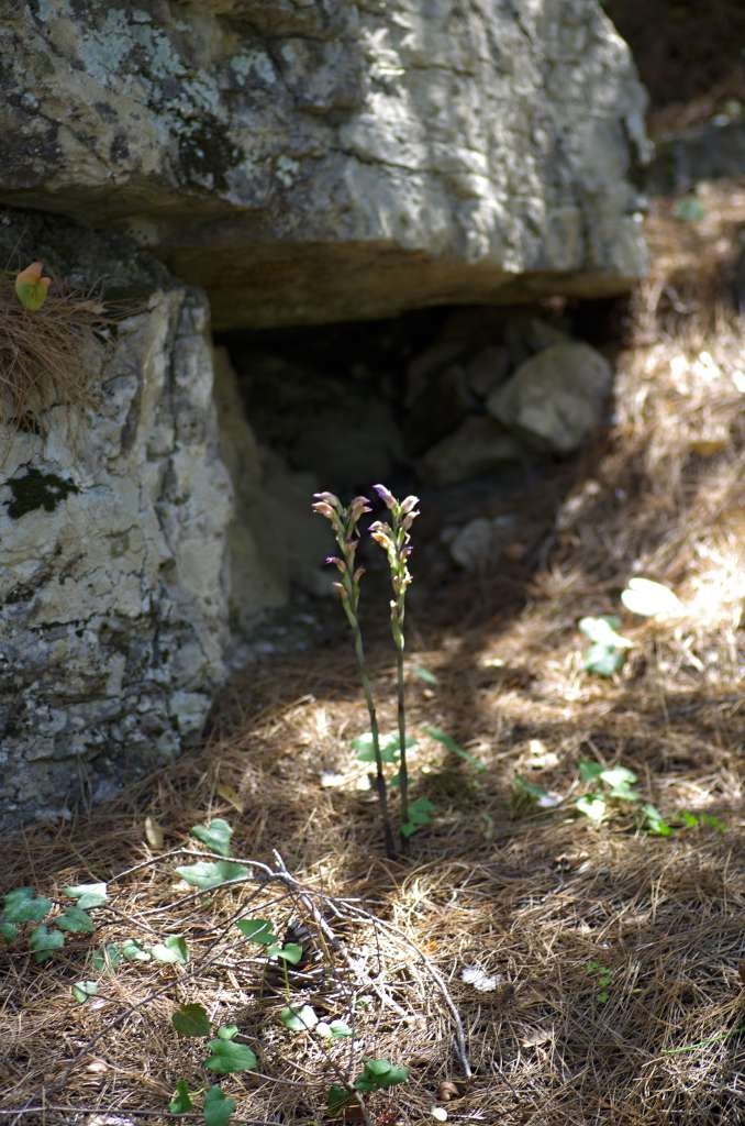 IMGP8963-1024~1.jpg