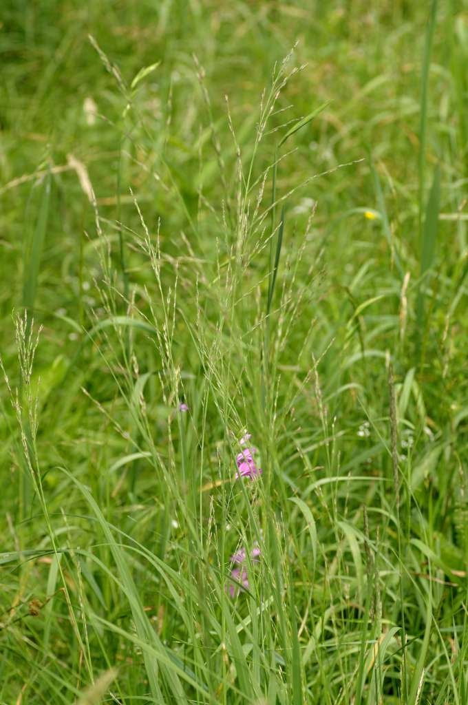 IMGP9022-1024~0.jpg
