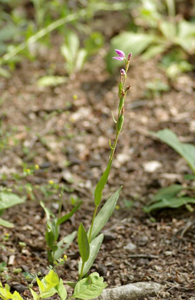 IMGP9040-1024~1.jpg