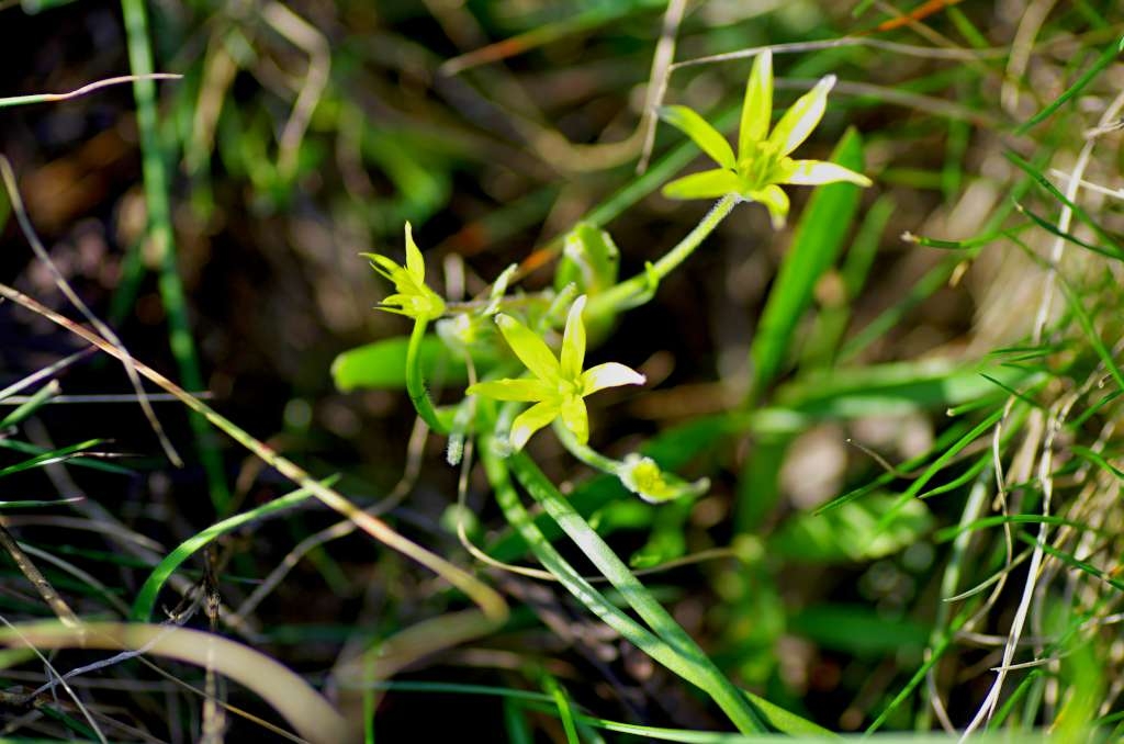 IMGP9083-1024~0.jpg