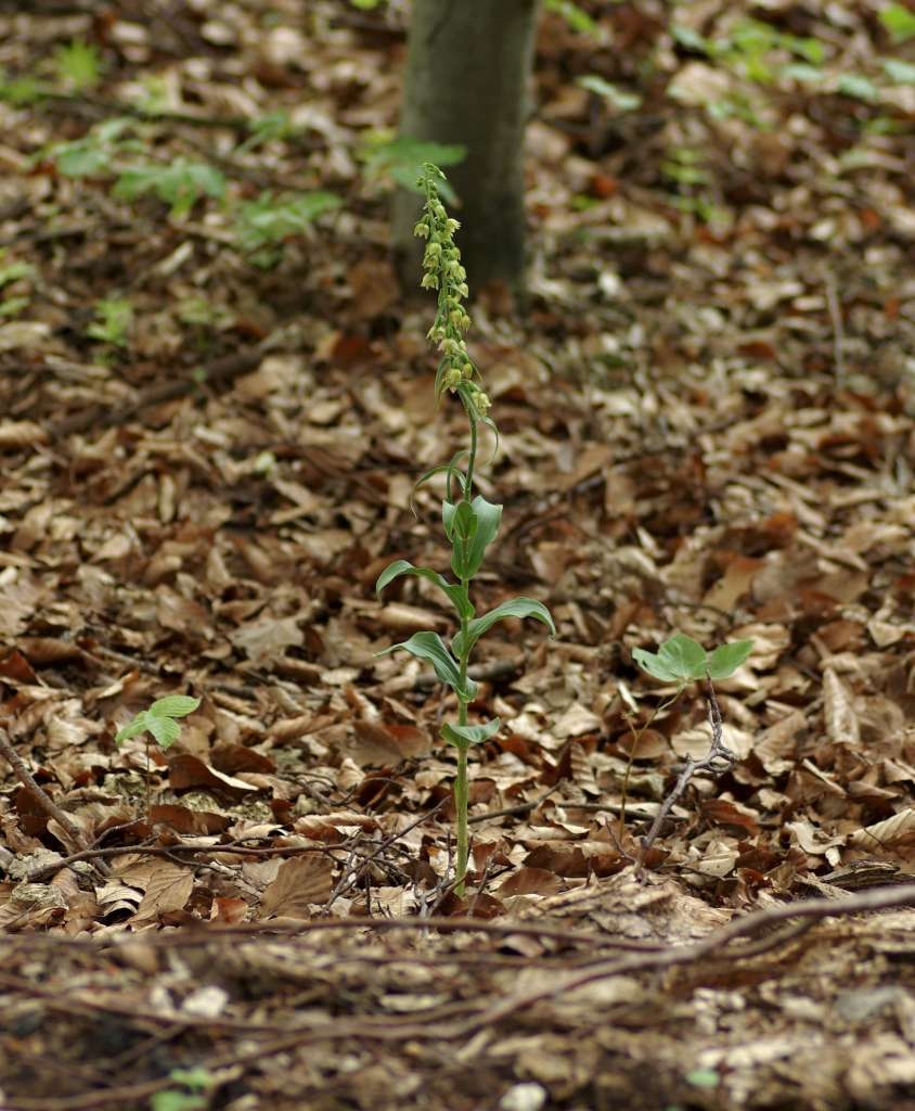 IMGP9118-1024~1.jpg
