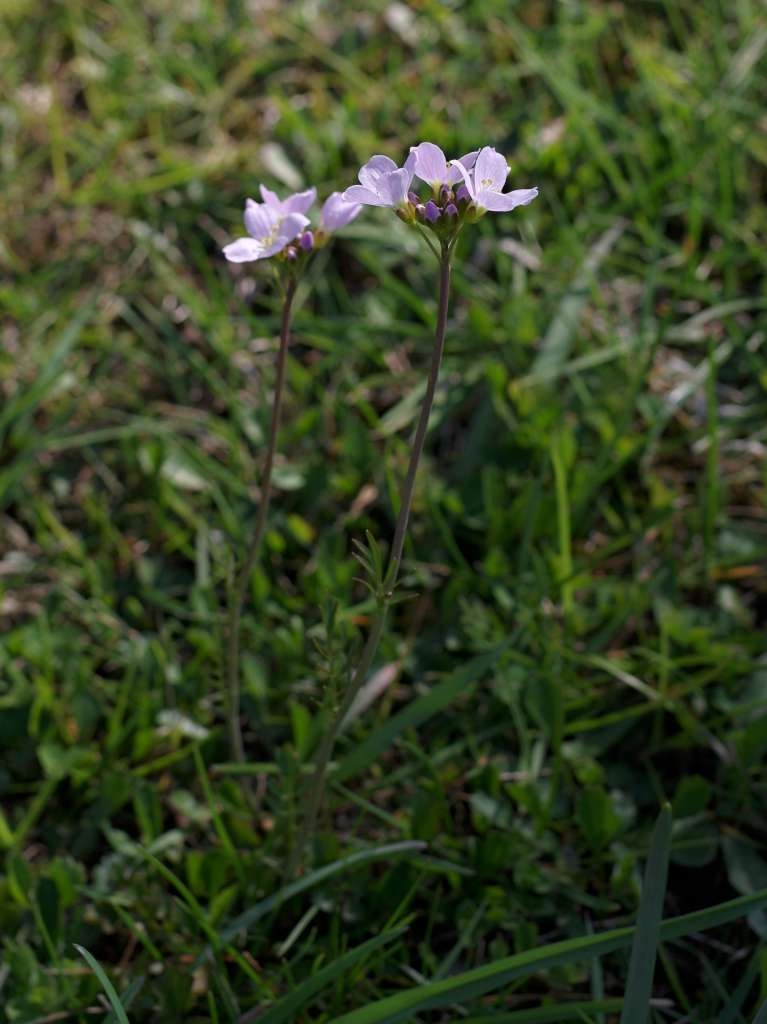 IMGP9122-1024~0.jpg