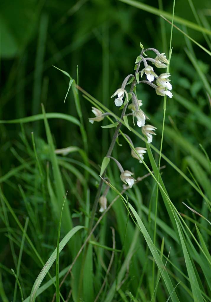IMGP9220-1024~1.jpg