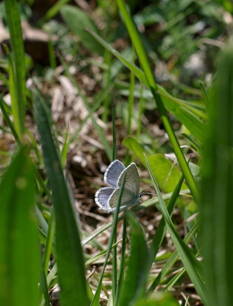 IMGP9260-1024~0.jpg