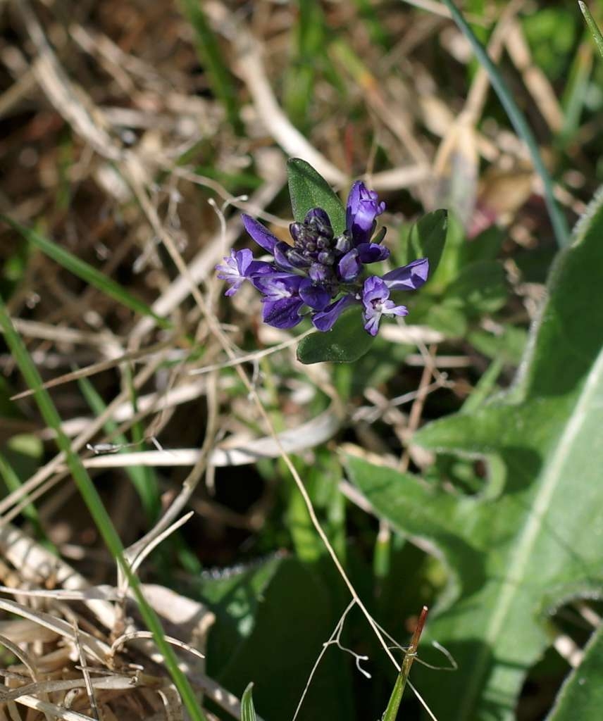 IMGP9268-1024.jpg