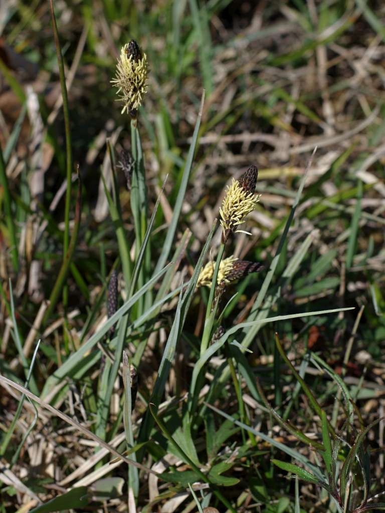 IMGP9351-1024~1.jpg