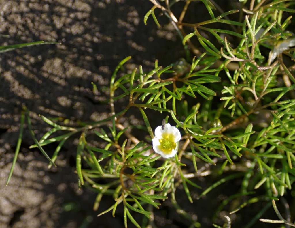 IMGP9358-1024~2.jpg