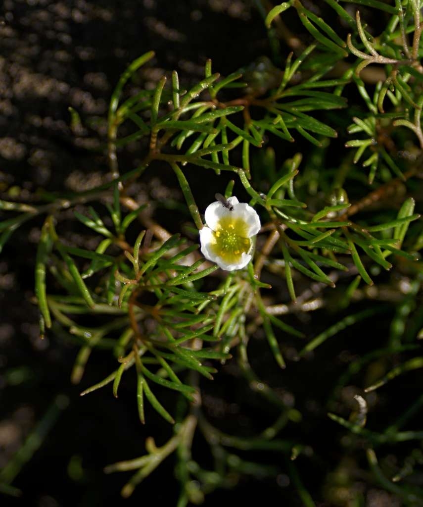 IMGP9360-1024~2.jpg