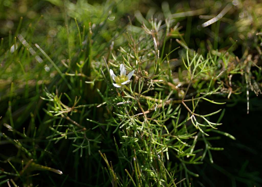IMGP9362-1024~3.jpg