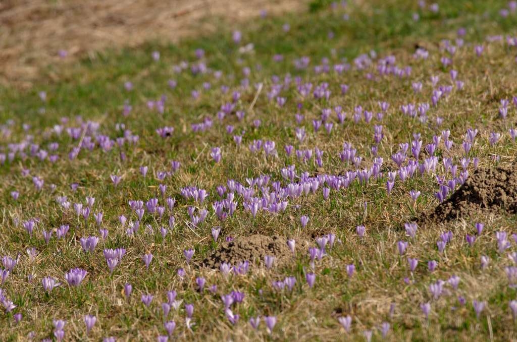IMGP9429-1024~0.jpg