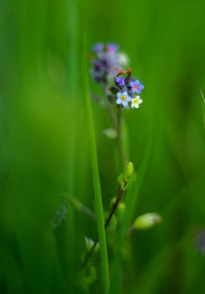 IMGP9587-1024~3.jpg