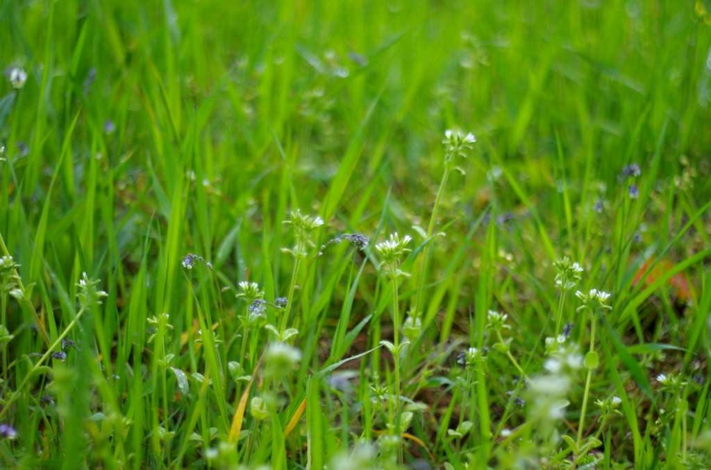 IMGP9588-1024~2.jpg