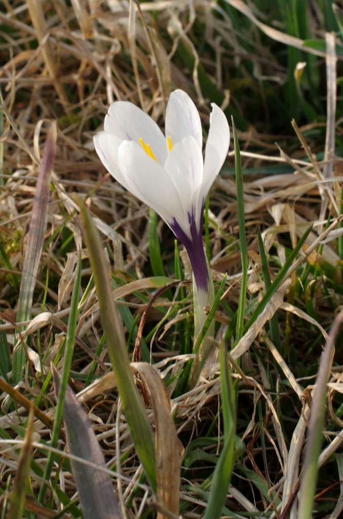IMGP9610-1024.jpg