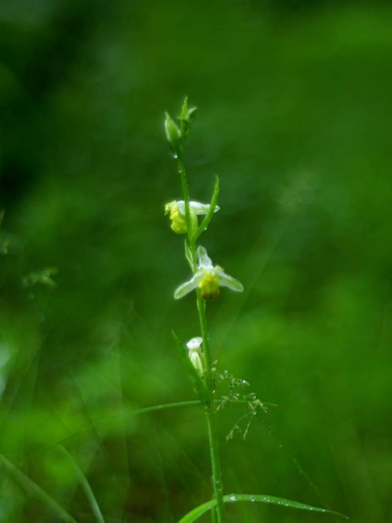 IMGP9688-1024~1.jpg