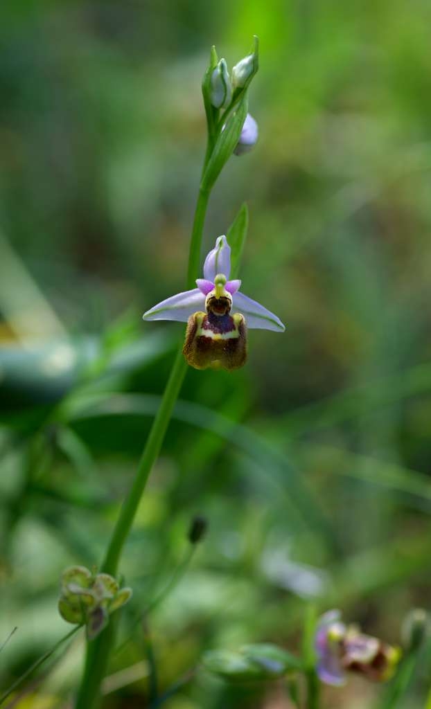 IMGP9717-1024~0.jpg
