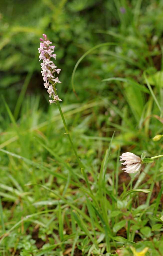 IMGP9963-1024~1.jpg