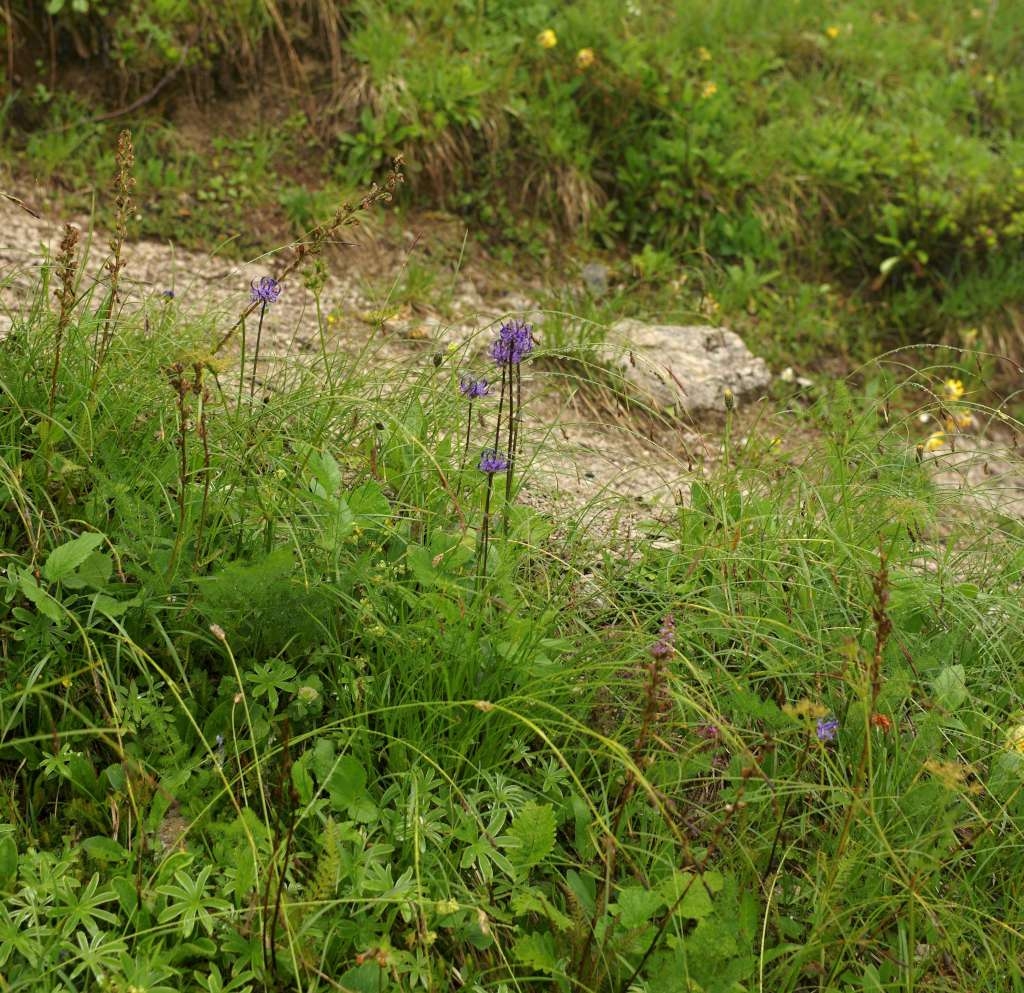IMGP9980-1024~0.jpg