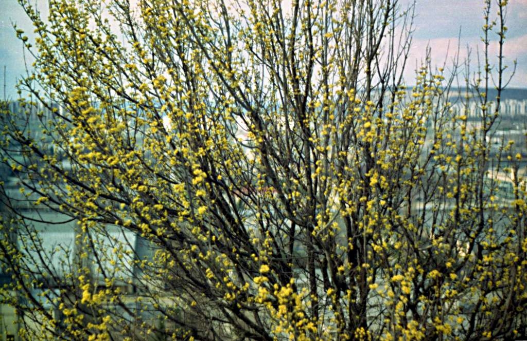 img032-1024.jpg