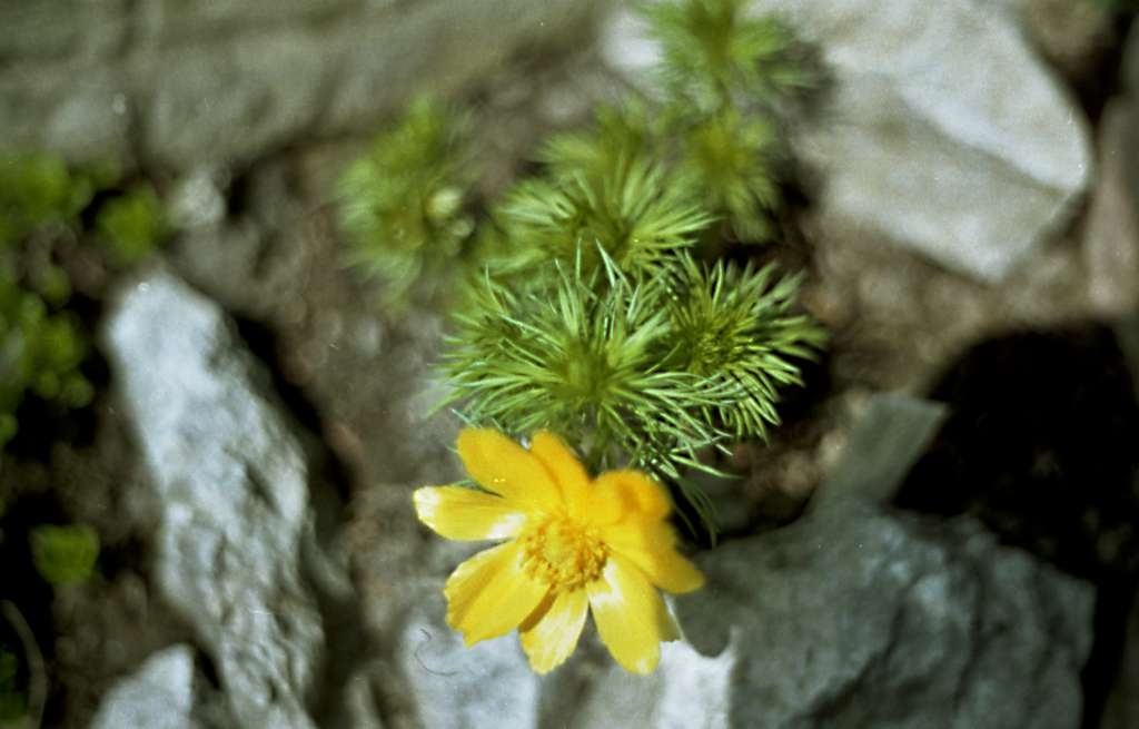 img054-1024.jpg