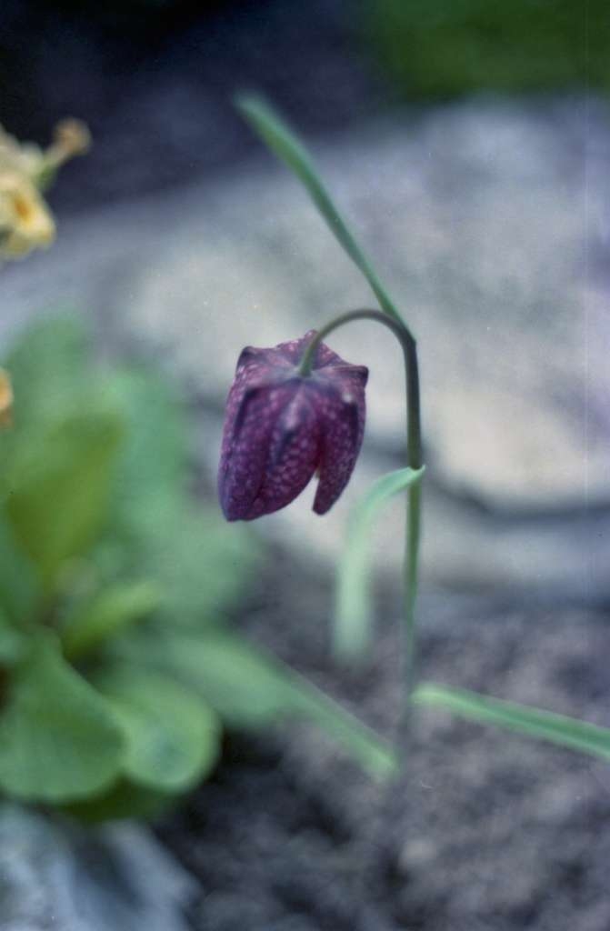 img100-1024.jpg