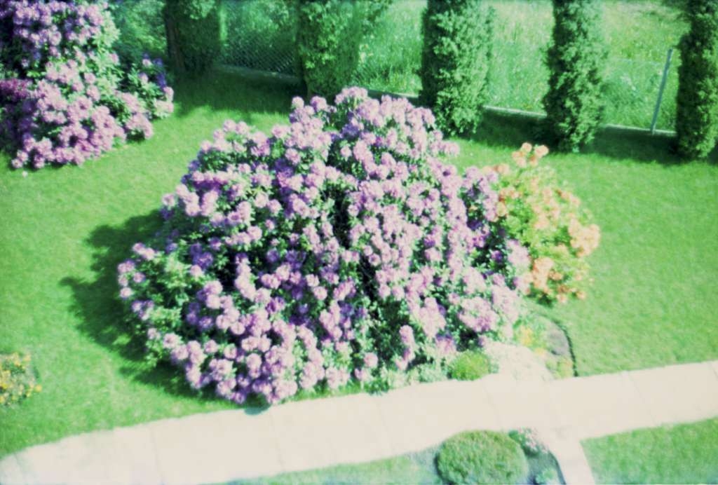 img130b-1024.jpg
