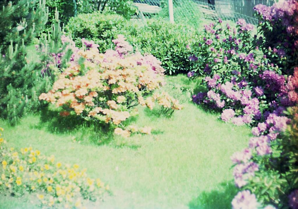 img130d-1024.jpg