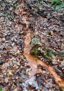 Název souboru=20171126_115319-1024.jpg
Velikost souboru=597KB
Rozměry=731x1024
Datum přidání=26. Listopad 2017 20171126_115319-1024.jpg