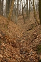 Název souboru=IMGP0031-1024~0.jpg
Velikost souboru=523KB
Rozměry=680x1024
Datum přidání=13. Leden 2018 IMGP0031-1024~0.jpg