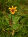 IMGP0031-1024~1.jpg