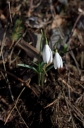 IMGP0038-1024~3.jpg